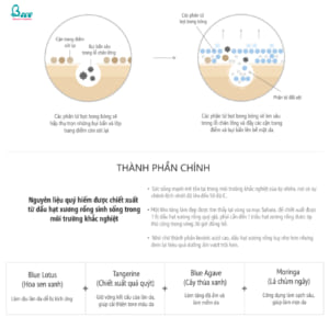 Sữa rửa mặt sạch sâu dành cho da dầu Huxley Cleansing Foam