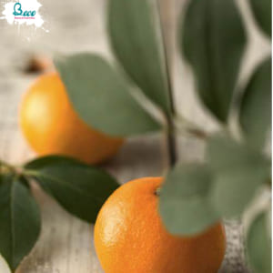 Tinh-chat-duong-trang-da-va-tri-nam-innisfree-whitening-pore-serum1