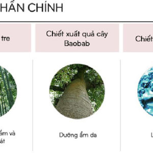 Phấn Nước Missha M