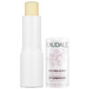 Son Dưỡng Môi Caudalie Lip Conditioner