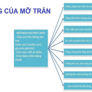 Mỡ Trăn Thiên Nhiên