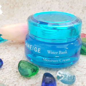 Kem Dưỡng Ẩm Water Bank Moisture Cream Laneige 1