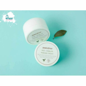 Kem dưỡng kiềm dầu No Sebum Powder cream Innisfree 2