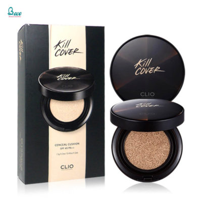 Cover Conceal Cushion 1