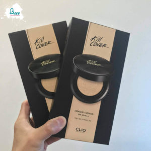 Cover Conceal Cushion 2