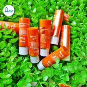 Son gió Thái Lan SPRING SONG lipstick số 16 mẫu mới