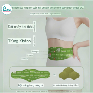 Miếng dán tan mỡ ngải cứu thảo dược